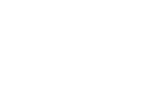 Alegria Exhibition